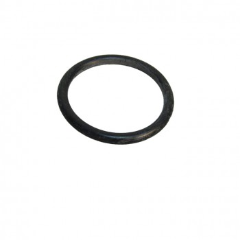 O-Ring           