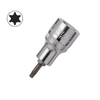 Torx-Schraubendrehereinsatz 1/2"           