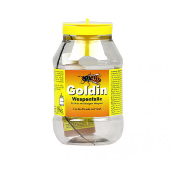Goldin Wespenfalle           