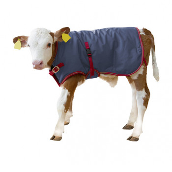 Kälberdecke Thermo Plus, dunkelblau, 80 cm           