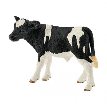 Schwarzbunt Kalb           