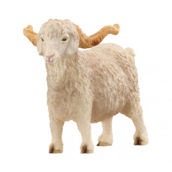 Angoraziegenbock           