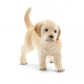 Golden Retriever Welpe           