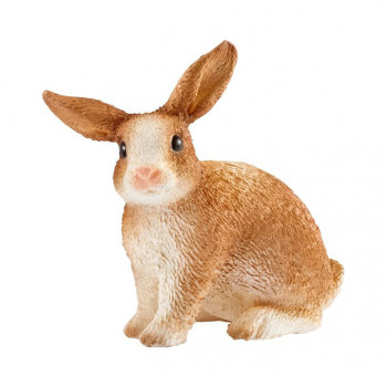 Kaninchen           