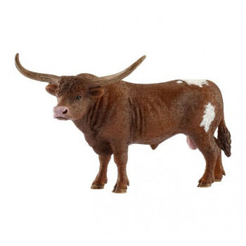 Texas Longhorn Bulle           
