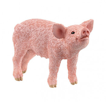 Ferkel, rosa           