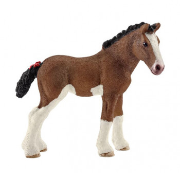 Clydesdale Fohlen           