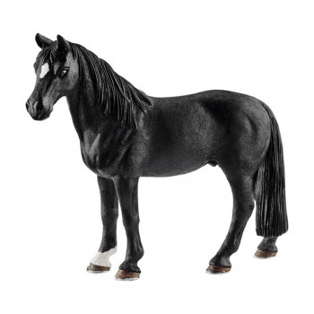 Tennessee Walker Wallach           