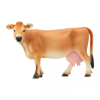 Galloway Jersey Kuh           