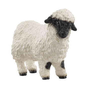 Walliser Schwarznasenschaf           