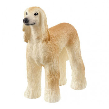 Windhund           