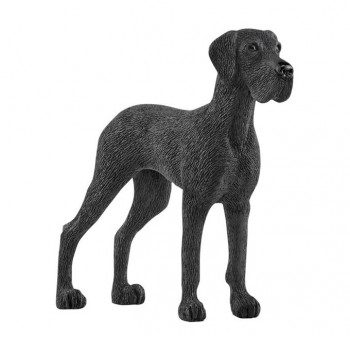 Dänische Dogge           