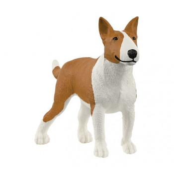 Bullterrier           