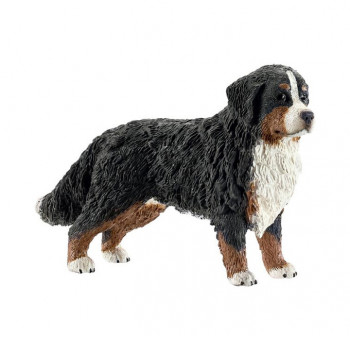 Berner Sennenhündin           