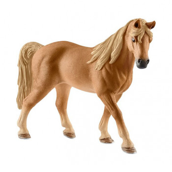 Tennessee Walker Stute           