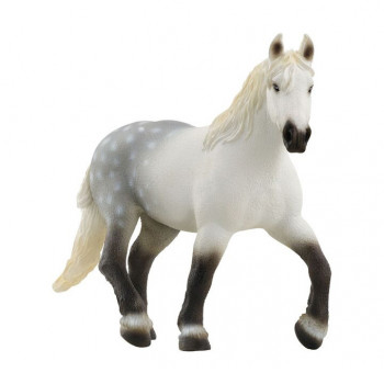 Percheron Stute Percheron Stute