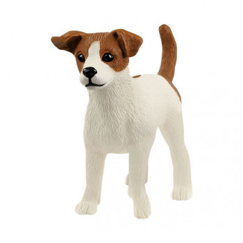 Jack Russel Terrier           