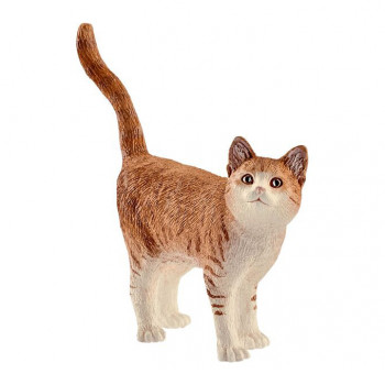 Katze           