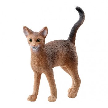 Abessinerkatze           