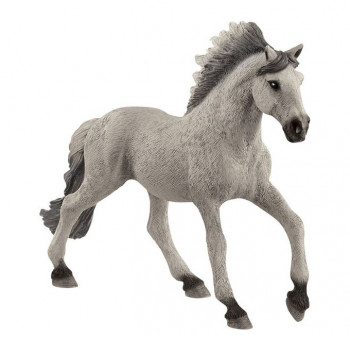 Mustang Hengst           