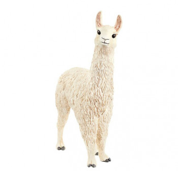 Lama           