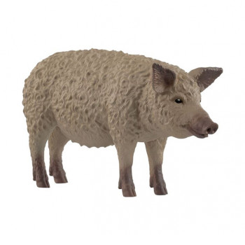 Wollschwein           