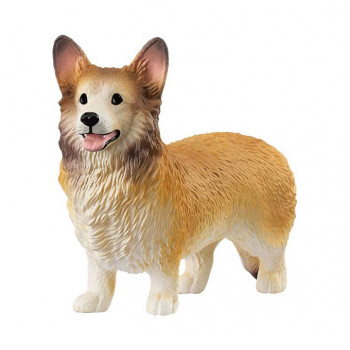 Welsh Corgi           