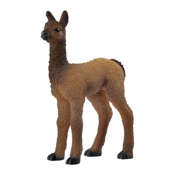 Lama           