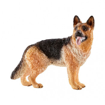 Schäferhund           