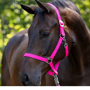 Nylonhalfter "Hippo", pink           