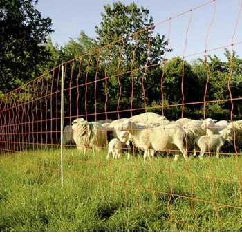 Elektro-Knotengitter "Extra" für Schafe, 90 cm