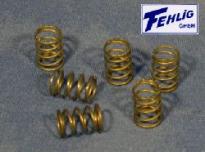 Ventilfeder p. f. Diverse           